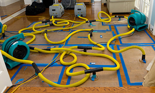 Professional Sewage Cleanup technician working in Firth, NE